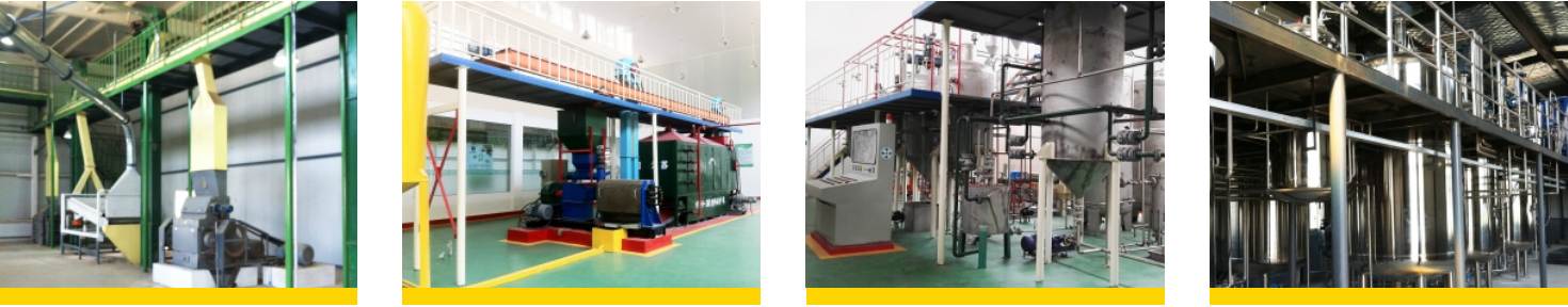 特种植物油料加工